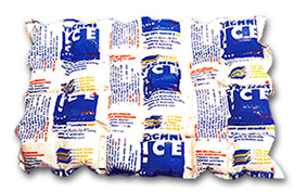 เทคนิไอซ์ (Techni Ice)